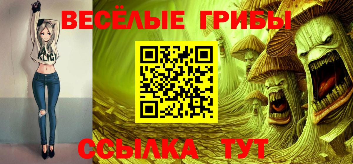 Псилоцибиновые грибы Cubensis Усинск